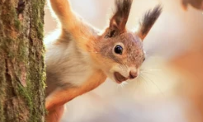 Promos de l&rsquo;automne